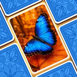 Symbol von Jigsaw Puzzle: Solitaire Zen